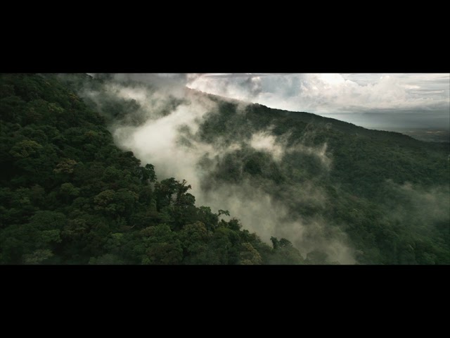 TAPIR NATURAL RESERVE by Río Celeste Hideaway