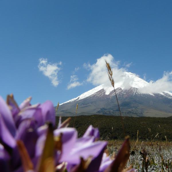 Ecuador Cotopaxi Straße der Vulkane Südamerika Rundreisen