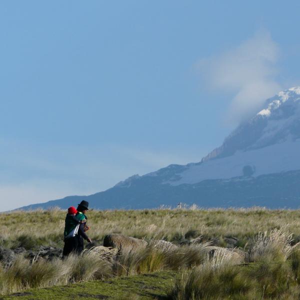 Ecuador Chimborazo Anden Mietwagenreise Südamerika