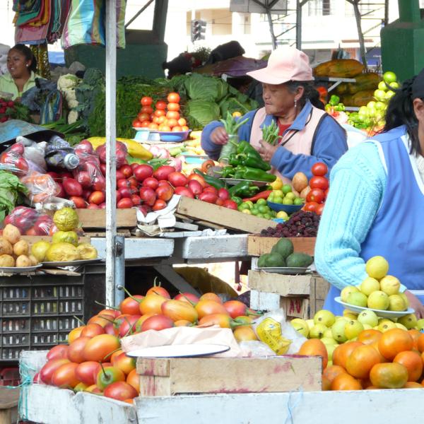 Ecuador Markt Südamerika Reisebausteine Amerika Plus Reisen