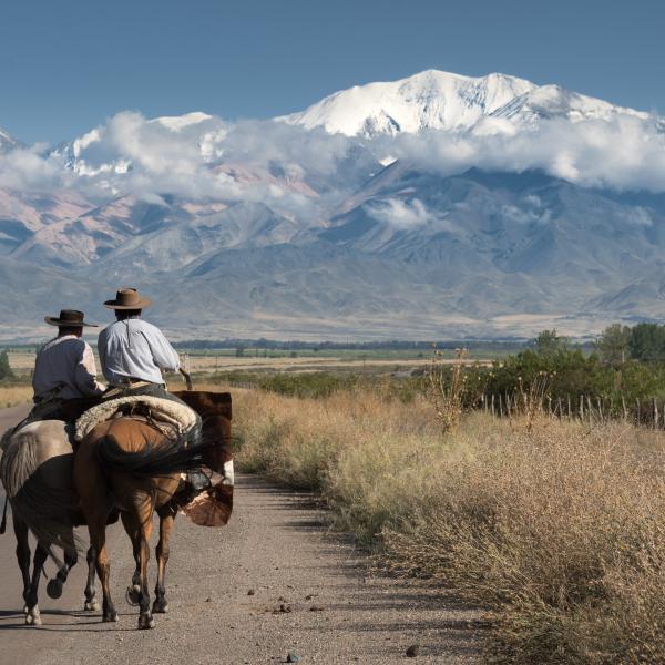 Gaucho Weite Argentinien Südamerika Amerika Plus Reisen