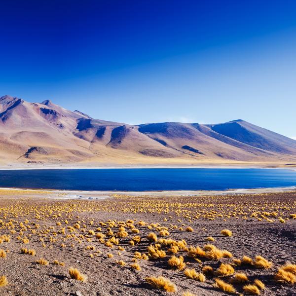 Südamerika Länderkombinationen Altiplano Hochland Lagune Chile